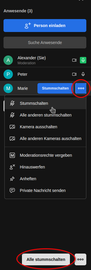 jitsi-stummschalten-screenshot_20230303_094058.png